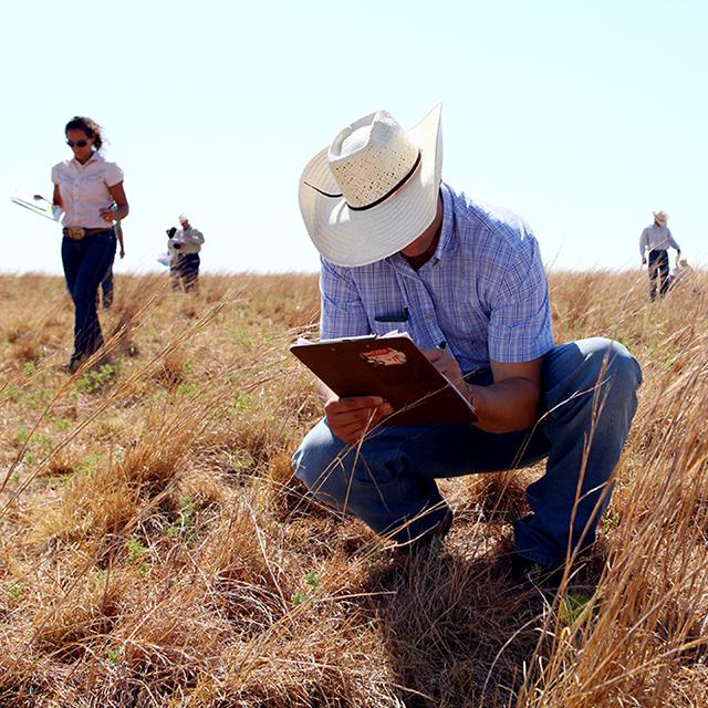 A Ranch Management student examines pasture grass while his classmates do the same in the background.